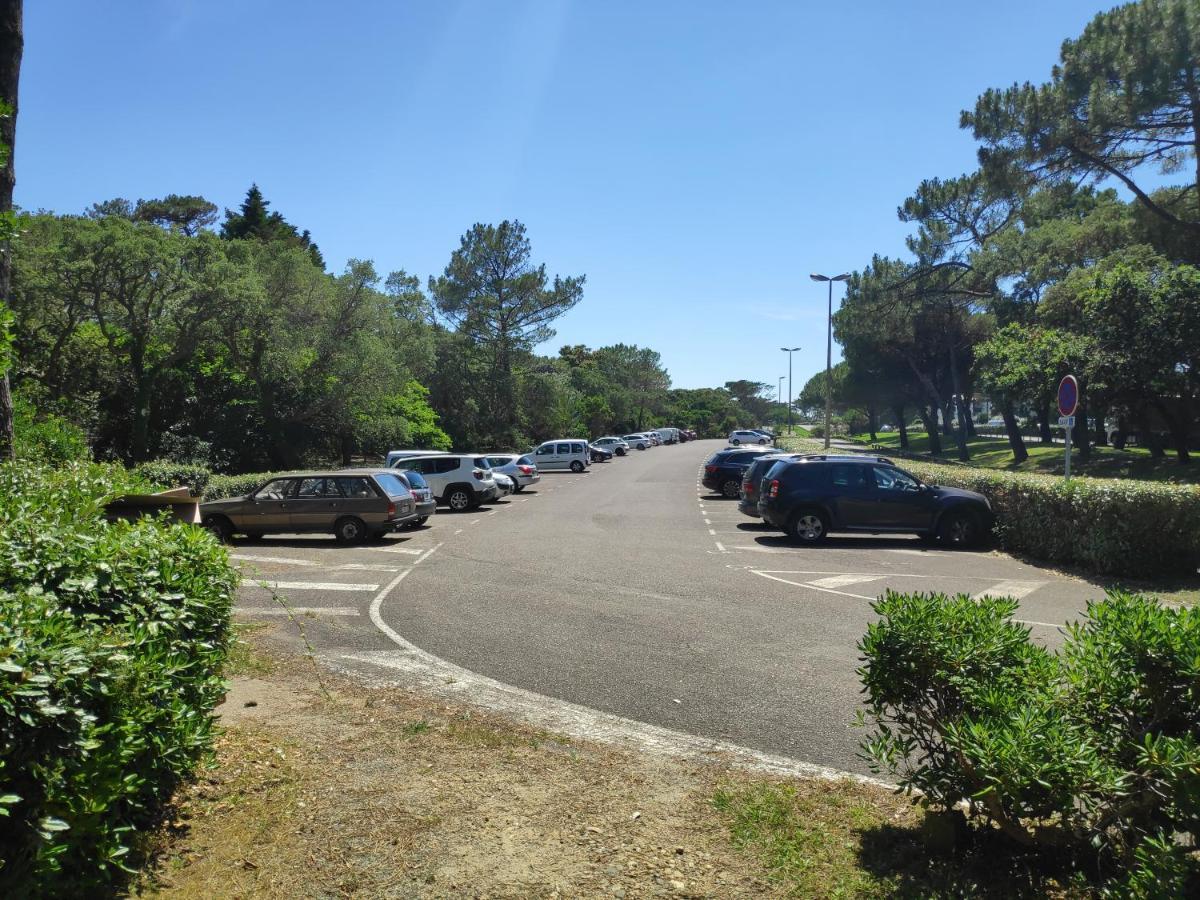 Appt Seignosse Le Penon - Plages Commerces A Pied Exteriör bild